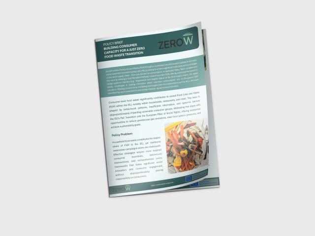 Policy Brief: Building Consumer Capacity for a Just Zero Food Waste Transition