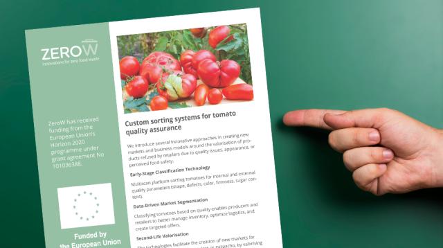 Practice Abstract: Custom sorting systems for tomato quality assurance