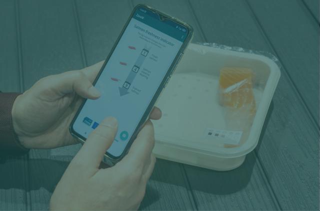 Innovation Living Labs
