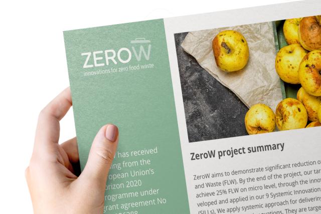 Practice Abstract: ZeroW project summary
